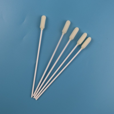 tampone orale sterile medico del campionamento della grande testa rotonda di 6mm eliminabile