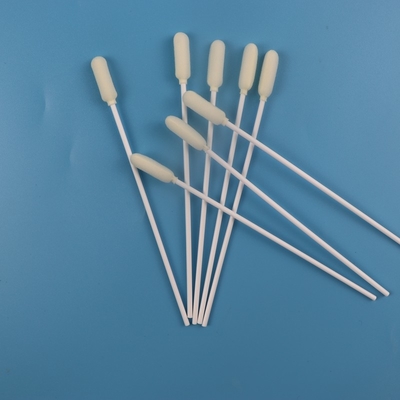 tampone orale sterile medico del campionamento della grande testa rotonda di 6mm eliminabile
