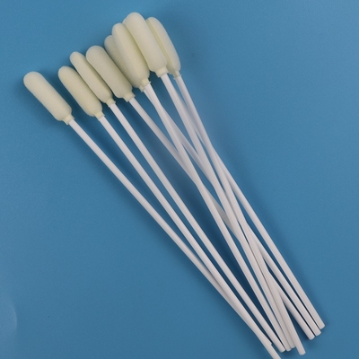 tampone orale sterile medico del campionamento della grande testa rotonda di 6mm eliminabile