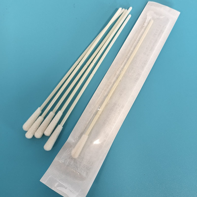 Swab per la raccolta di campioni di nylon a fiocco sterile Swab orale avvolto individualmente