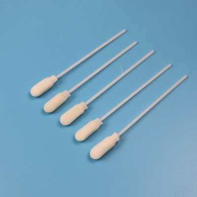 10 mm Grandi spugne rotonde con punta di schiuma Collezione di campioni Swab imballaggio individuale