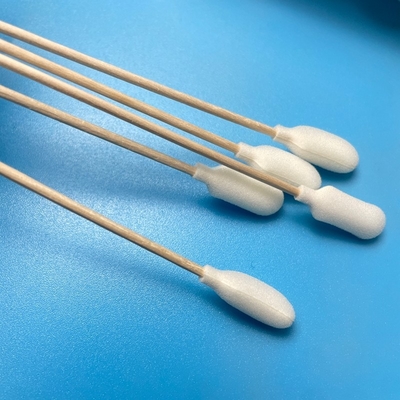 Spuma sterile tampone di campionamento usa e getta EO sterilizzato con bastone di legno