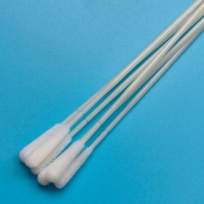Swab di campionamento in nylon a gomma ABS usa e getta Swab orale sterile di raccolta di campioni Swab con imballaggio individuale