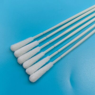 Swab di campionamento in nylon a gomma ABS usa e getta Swab orale sterile di raccolta di campioni Swab con imballaggio individuale