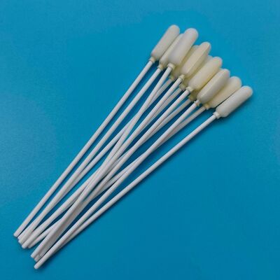 14cm Disposable Long PP Stick Big Foam Tip Oral Swab Sterile Collezione di campioni Swab Test influenza Swab campionamento