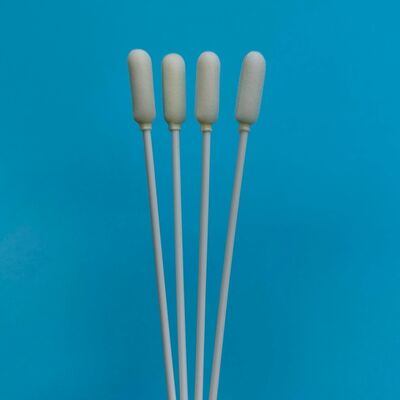 14cm Disposable Long PP Stick Big Foam Tip Oral Swab Sterile Collezione di campioni Swab Test influenza Swab campionamento