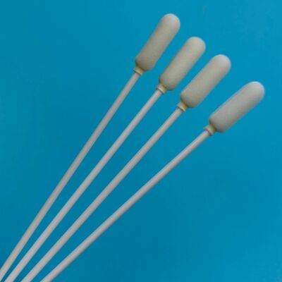 14cm Disposable Long PP Stick Big Foam Tip Oral Swab Sterile Collezione di campioni Swab Test influenza Swab campionamento