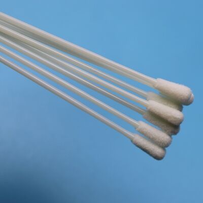 145 mm ABS Stick Flocked Nylon Sterile Swab Test influenzale campionamento di campionamento di campionamento orale raccolta di campioni di campionamento senza punto di rottura