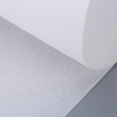 Rotolo blu amichevole della carta di pulizia di Eco, asciugamano di carta industriale Rolls 25 x 37 cm