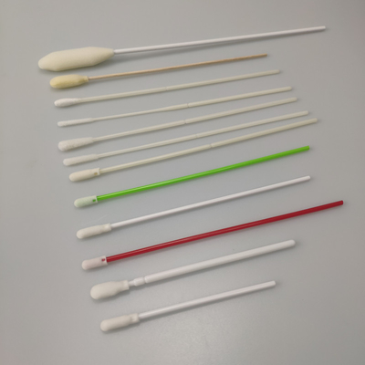 la raccolta di esemplare aperta della spugna delle cellule di 135mm tampona senza la fluorescenza