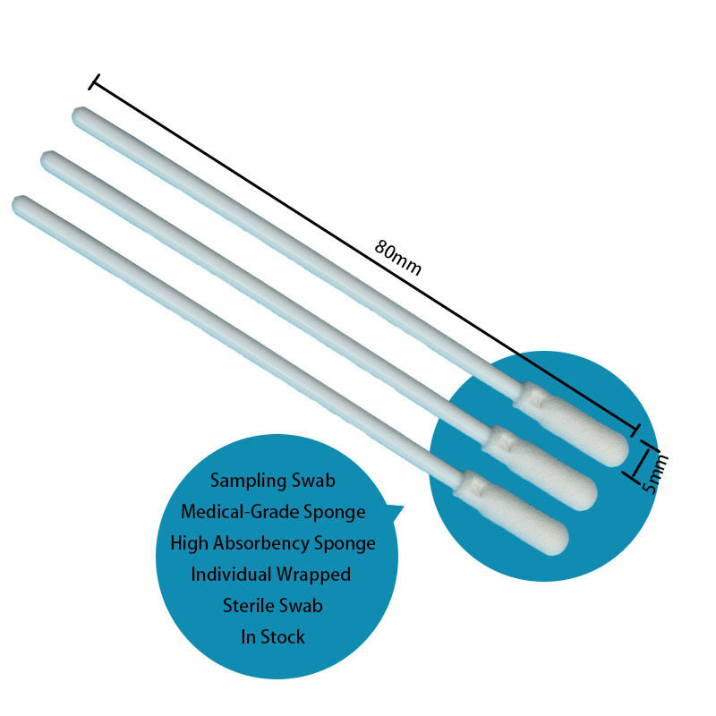 8cm Disposable White PP Stick Sterile Foam Tip Swab Superficie Sampling Swab Oral Swab Raccolta campioni Swab con imballaggio individuale