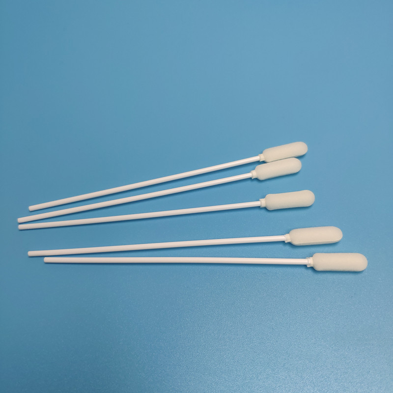 Tampone di campionamento usa e getta testa in schiuma di PP Stick colore bianco